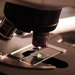 Uniwersytet Warmińsko-Mazurski uruchomił stronę poświęconą ERRIN