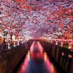 Jak prowadzić biznes z Japonią? Seria webinariów od EU-Japan Centre