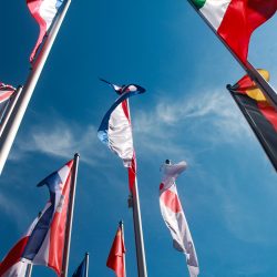 Projekty i przetargi międzynarodowe – dyplomacja dla biznesu