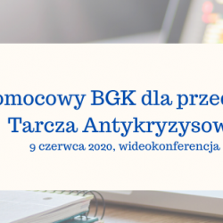 Szkolenie online „Pakiet pomocowy BGK dla przedsiębiorców. Tarcza antykryzysowa.” – 9 czerwca 2020 r.
