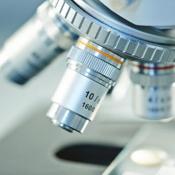 2,5 mln euro dla Instytutu Rozrodu Zwierząt i Badań Żywności PAN w Olsztynie!