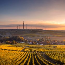 Spotkanie dla polskich i norweskich firm nt. współpracy w obszarze zielonej energii