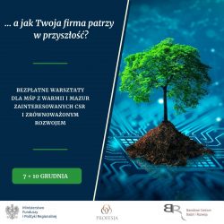 CSR i innowacje dla zrównoważonego rozwoju (7-10.12.21)
