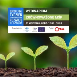 Zrównoważone MŚP – bezpłatne webinarium