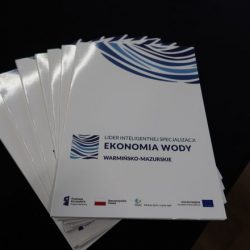 Konferencja „Silna Specjalizacja Ekonomia Wody – potrzeba zmian i kontynuacji? Już za nami!