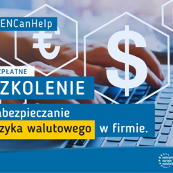 Szkolenie: Jak skutecznie ograniczyć ryzyko walutowe w firmie?