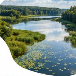 Warsztat Brunch Biznesowy – Ekonomia Wody